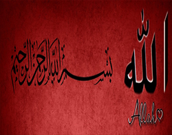 Web Sitemiz Yayına Açılmıştır!